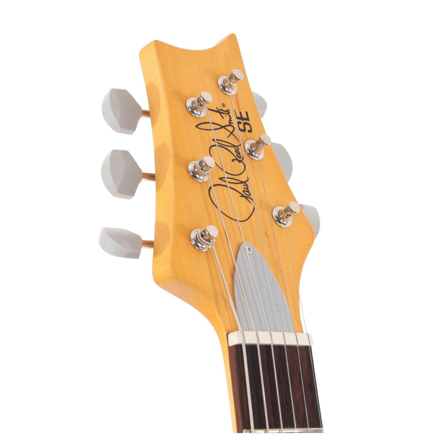 PRS SE Silver Sky Moon Dragon Fruit