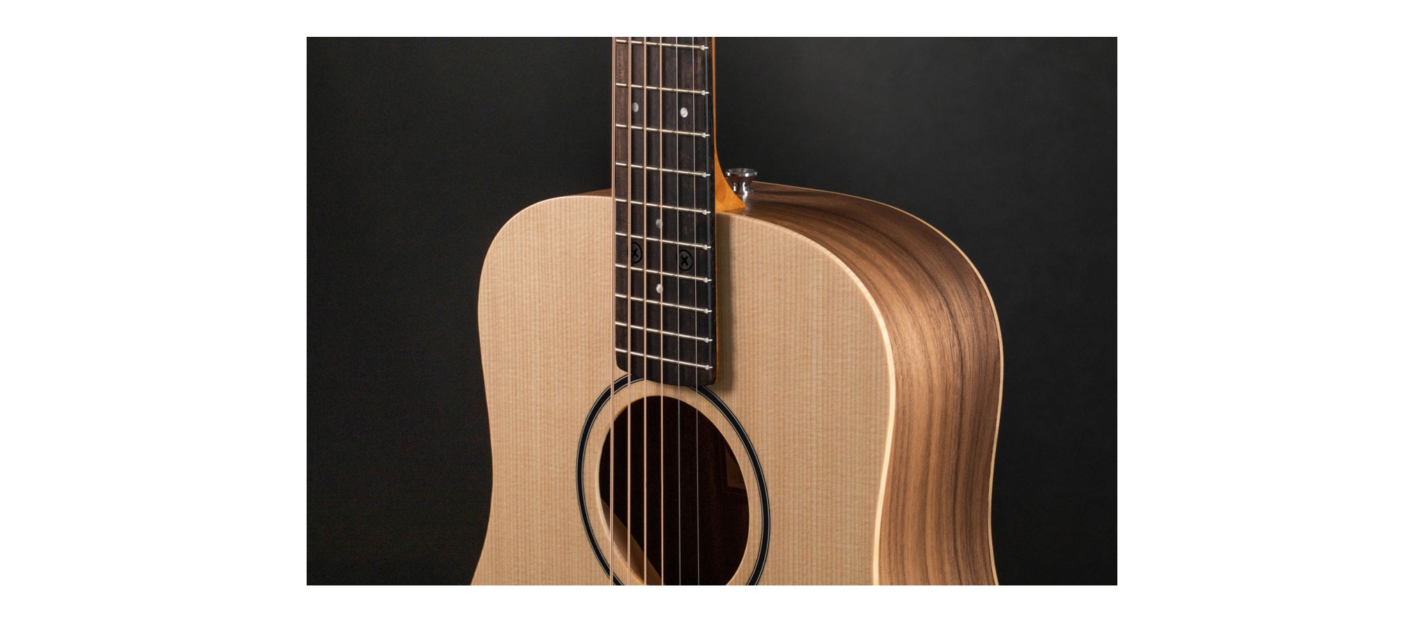 Taylor Baby Taylor BT1e| DijkmanMuziek