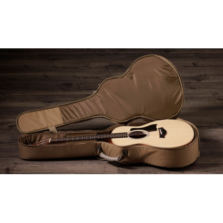 Taylor GS Mini Sapele