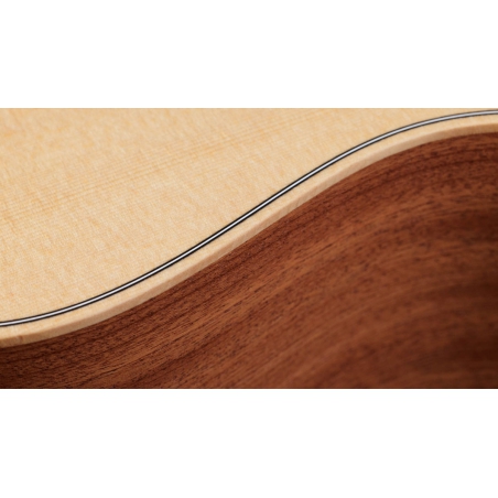 Taylor GS Mini Sapele