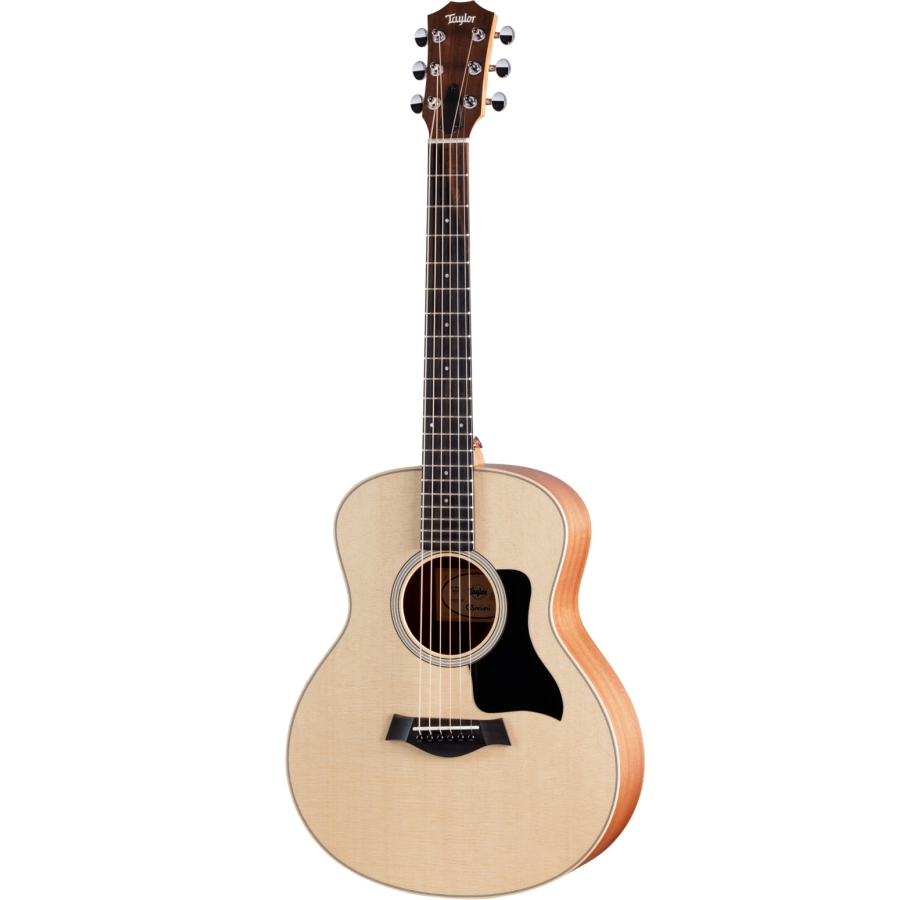 Taylor GS Mini Sapele