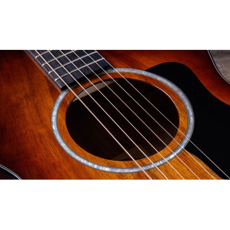 Taylor 222ce-K DLX Grand Concert