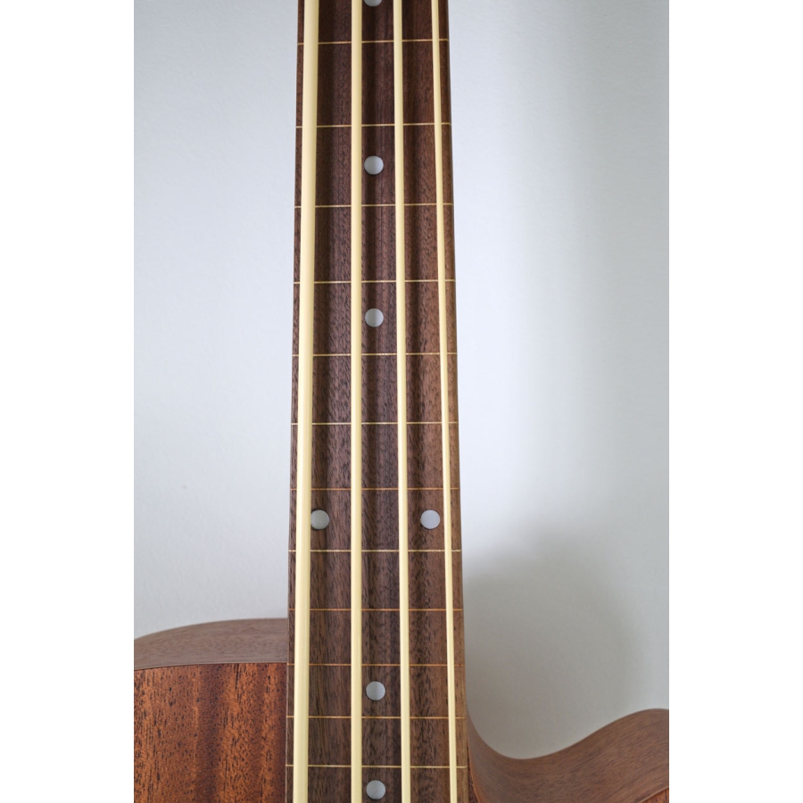 Gold Tone M-BASS25FL fretless