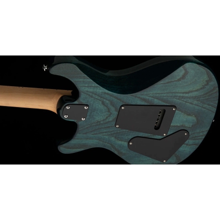 PRS SE Swamp Ash Special Iri Blue