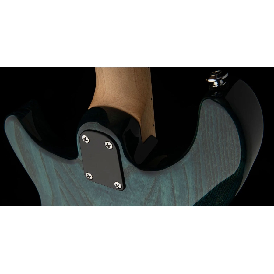 PRS SE Swamp Ash Special Iri Blue