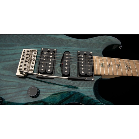 PRS SE Swamp Ash Special Iri Blue