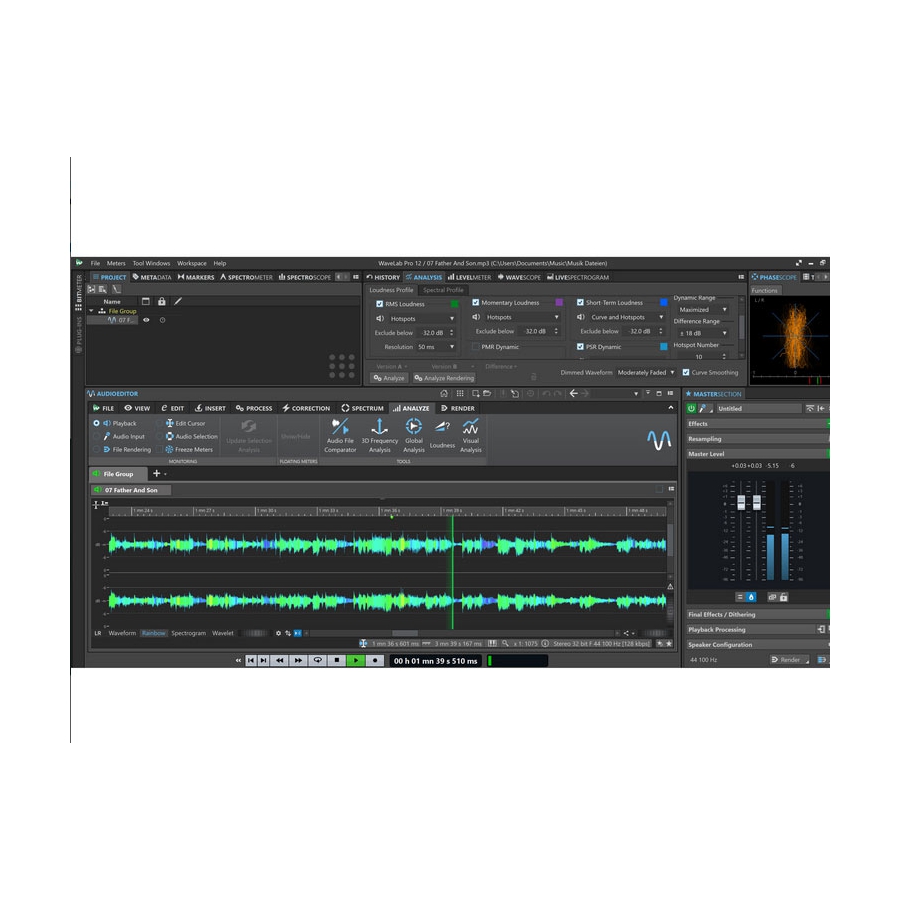 Steinberg WaveLab Elements 12 Retail