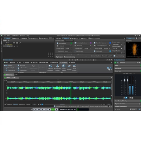 Steinberg WaveLab Elements 12 Retail