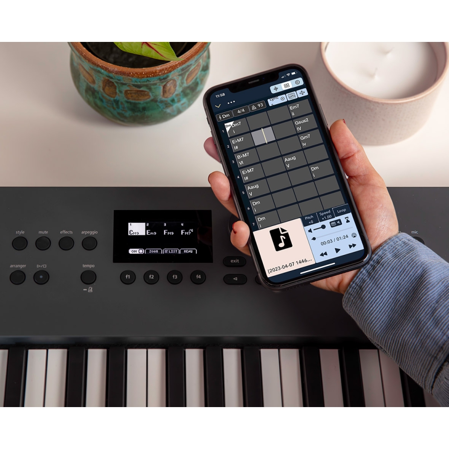 Roland GO Keys 5 Graphite