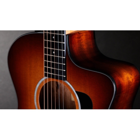 Taylor 214ce-K SB Plus