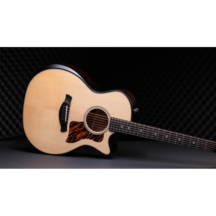 Taylor 50th Anniversary Builder's Edition 314ce LTD NT