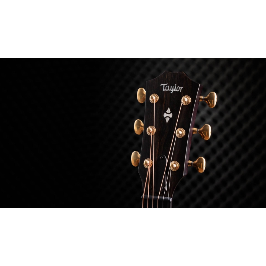 Taylor 50th Anniversary Builder's Edition 314ce LTD NT