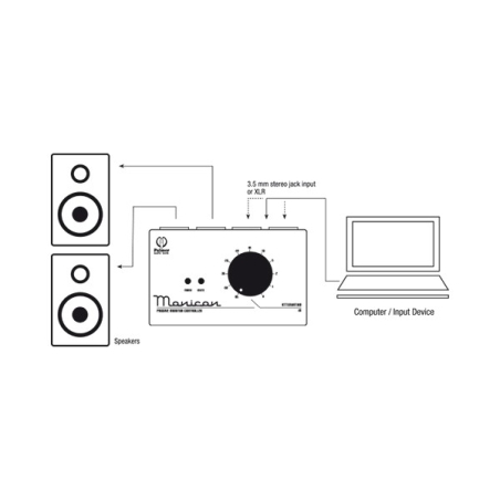 Palmer Monicon Passive Monitor Controller