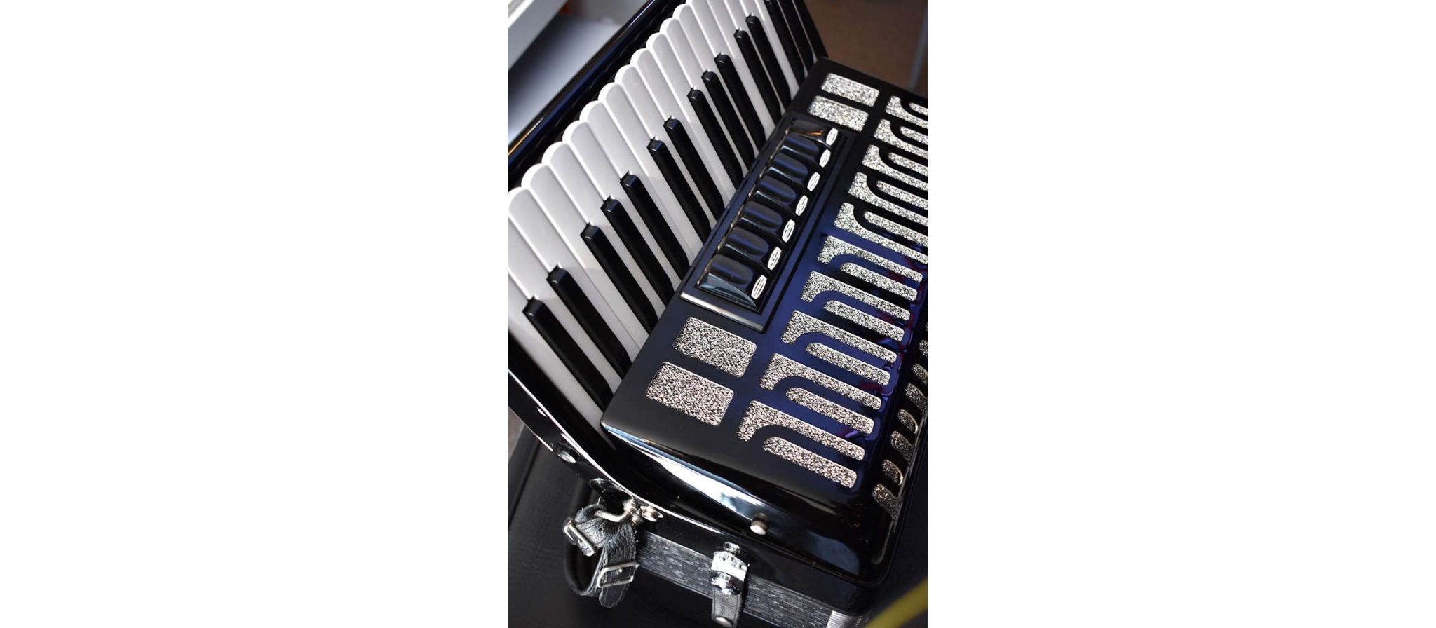 Delicia | Arnaldo 23 | 72Bas Accordeon zwart | B stock | DijkmanMuziek