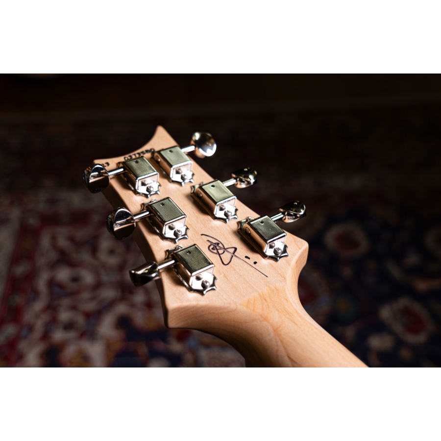 PRS Fiore Larkspur Mark Lettieri signature PRS Fiore Larkspur Mark Lettieri signature