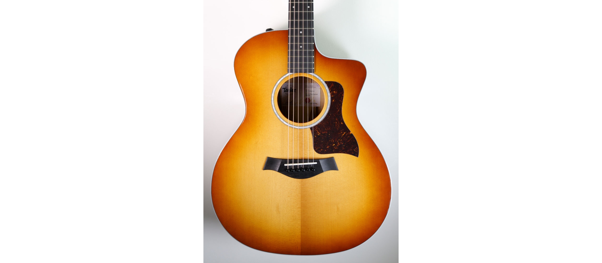 【えび】Taylor 214ce RW Plus Taylor 214ce Plus Special Edition Ziricote SEB | DijkmanMuziek