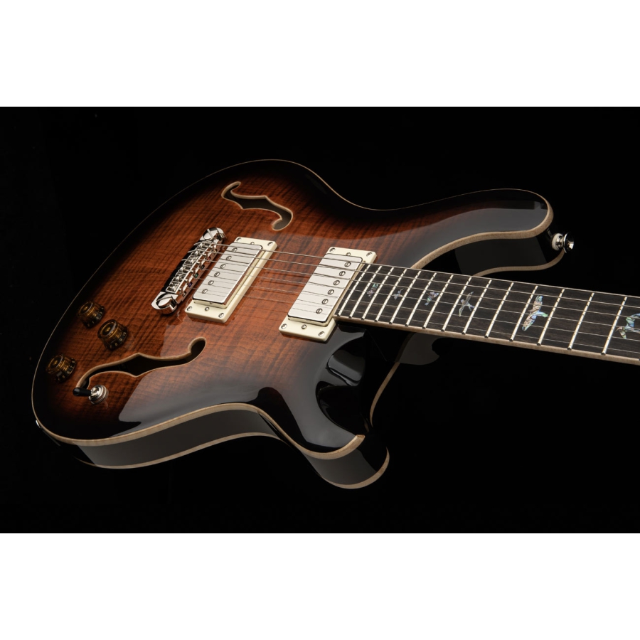 PRS SE Custom 24 Semi-Hollow Piezo OB PRS SE Custom 24 Semi-Hollow Piezo OB