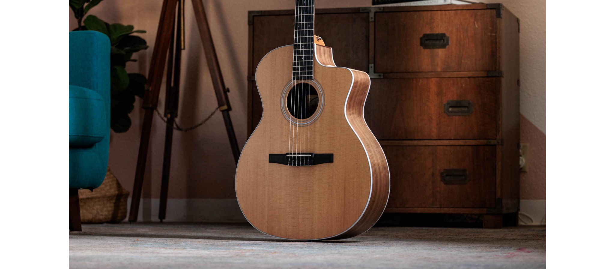 Taylor 214CE-N Nylon | walnoot body | DijkmanMuziek