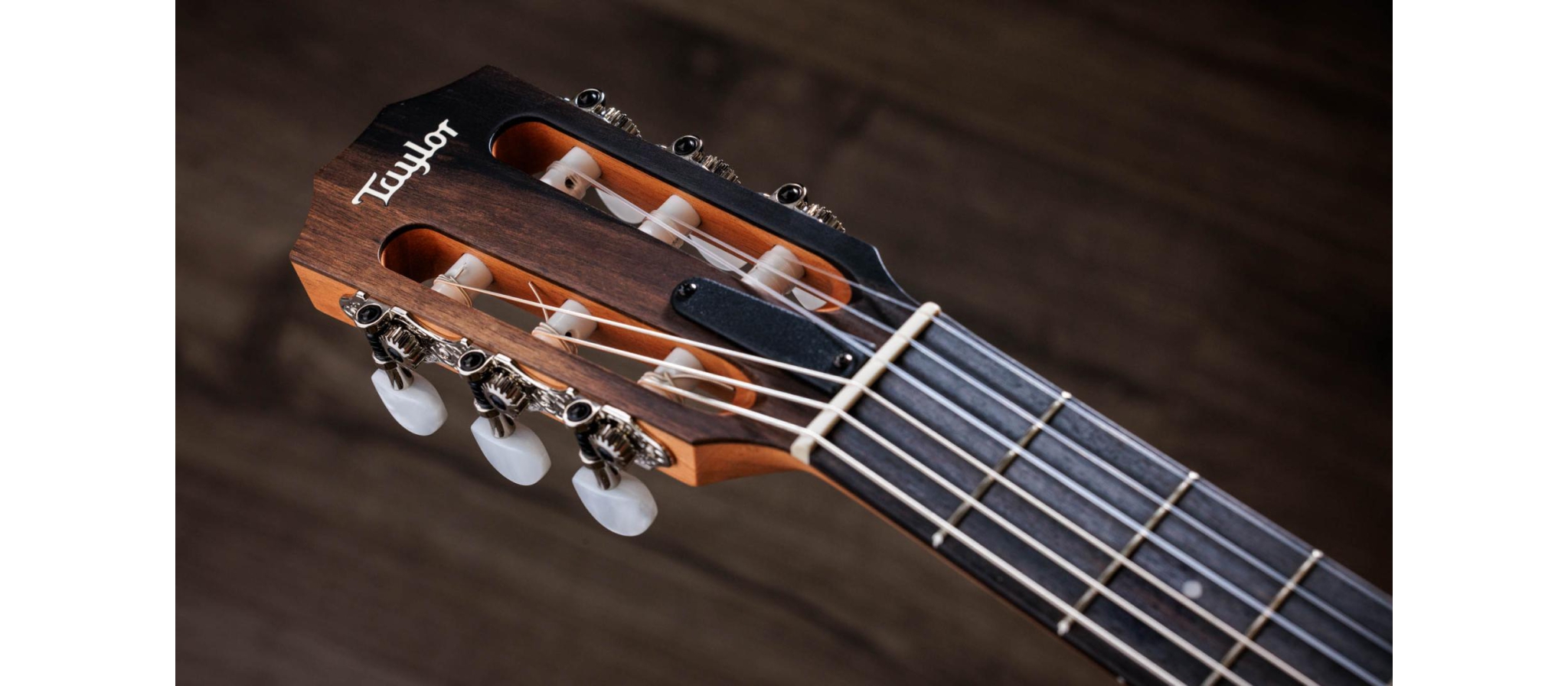 Taylor 214CE-N Nylon | walnoot body | DijkmanMuziek