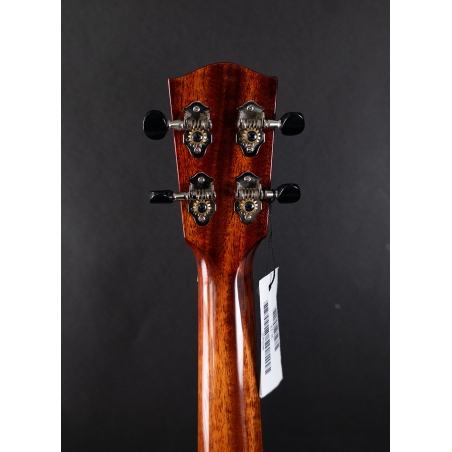 Eastman EU3 C Mahogany Concert ukulele