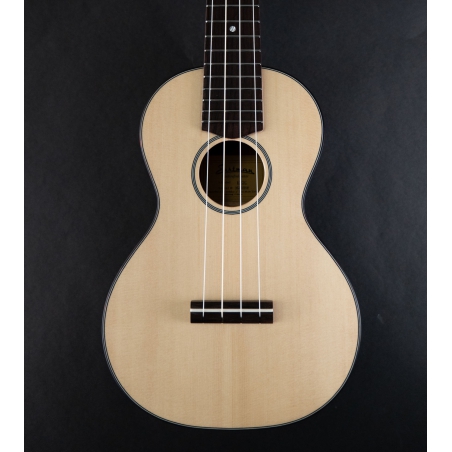 Eastman EU2 C Natural Mahogany Concert ukulele