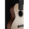 Eastman EU2 C Natural Mahogany Concert ukulele Eastman EU2 C Natural Mahogany Concert ukulele