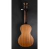 Eastman EU2 C Natural Mahogany Concert ukulele Eastman EU2 C Natural Mahogany Concert ukulele