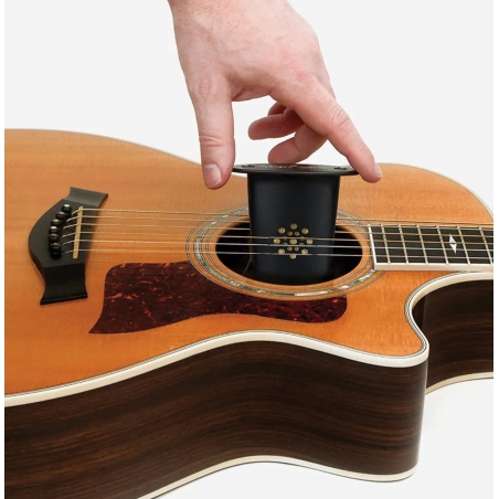 D'addario Acoustic Guitar Humidifier