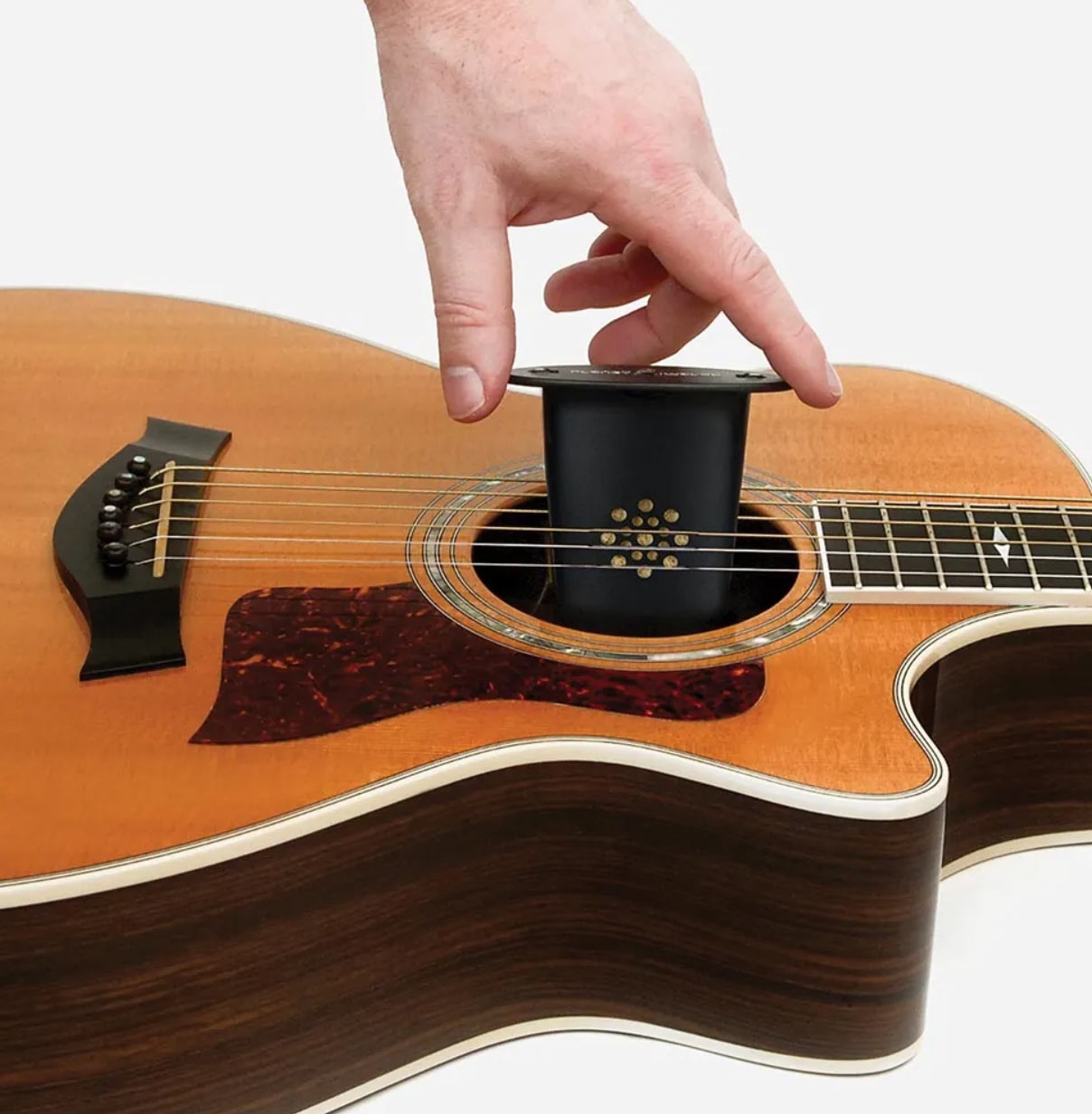D'addario Acoustic Guitar Humidifier