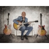 Sire Larry Carlton H7 STR Sire Larry Carlton H7 STR