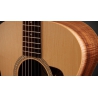 Taylor Academy 12e LTD Figured Koa Taylor Academy 12e LTD Figured Koa