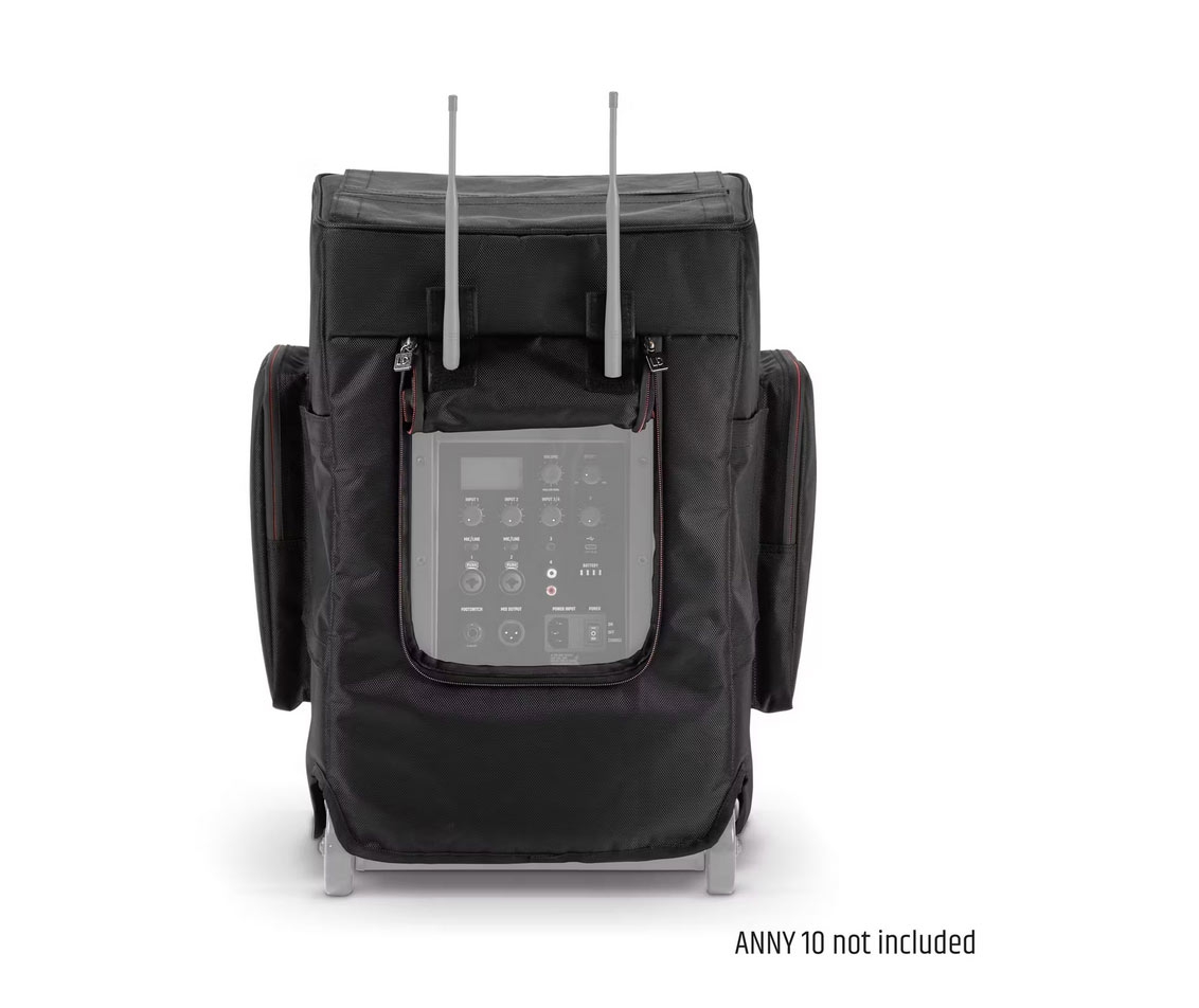 LD Systems LDANNY10PC Hoes