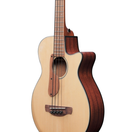 Ibanez AEGB30E NTG