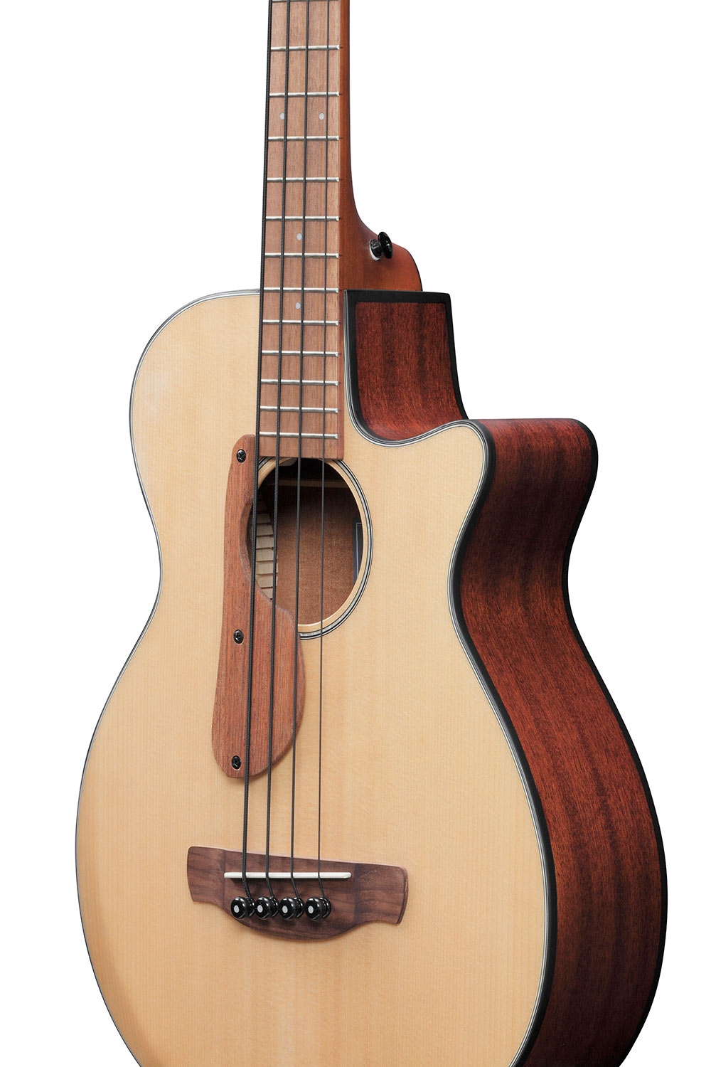 Ibanez AEGB30E NTG