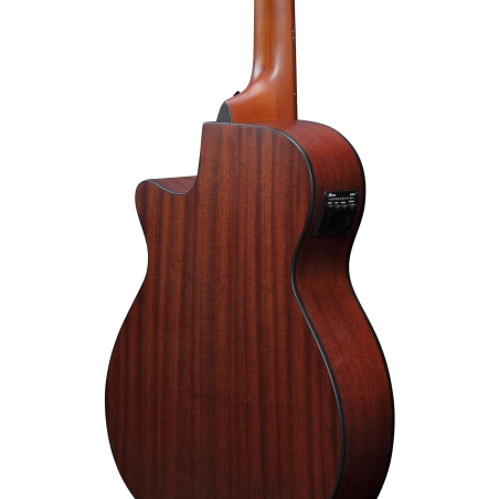 Ibanez AEGB30E NTG