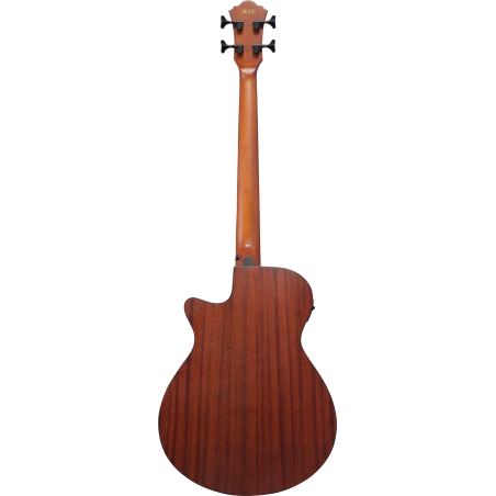 Ibanez AEGB30E NTG