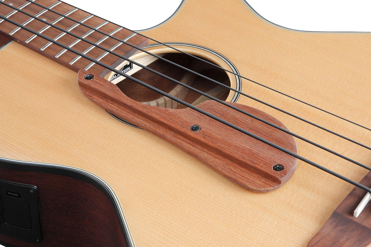 Ibanez AEGB30E NTG