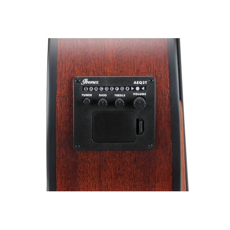 Ibanez AEGB30E NTG