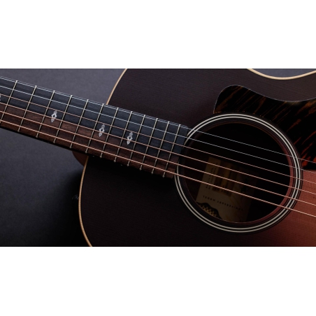 Taylor 50th Anniversary GS Mini-e Rosewood SB LTD