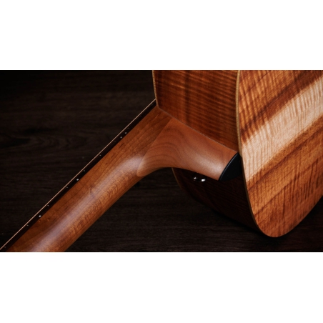 Taylor Academy 10e LTD Figured Koa