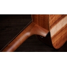 Taylor Academy 10e LTD Figured Koa Taylor Academy 10e LTD Figured Koa
