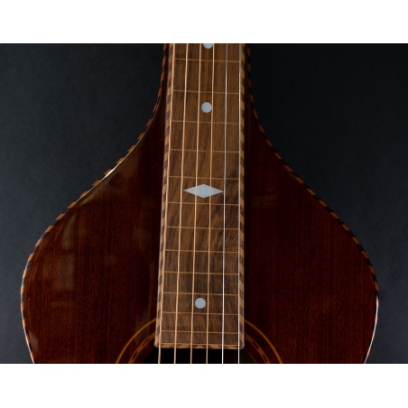 Gold Tone LM Weissenborn