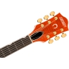 Gretsch Pro Nashville Bigsby Orange Stain Gretsch Pro Nashville Bigsby Orange Stain
