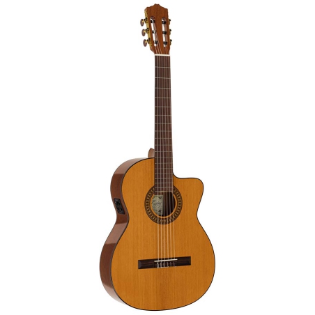 Salvador Cortez CC-22CE klassiek gitaar