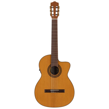 Salvador Cortez CC-22CE klassiek gitaar