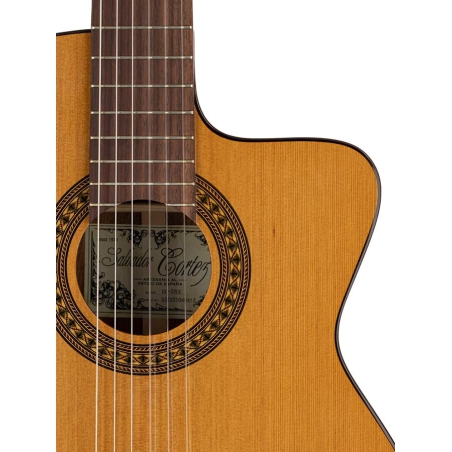 Salvador Cortez CC-22CE klassiek gitaar