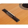 Salvador Cortez CC-22CE klassiek gitaar Salvador Cortez CC-22CE klassiek gitaar