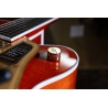 Gretsch Pro Nashville Bigsby Orange Stain Gretsch Pro Nashville Bigsby Orange Stain