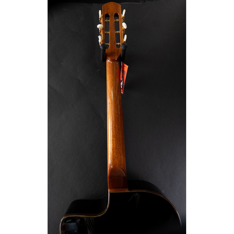 Altamira M01-F Gypsy guitar oval soundhole