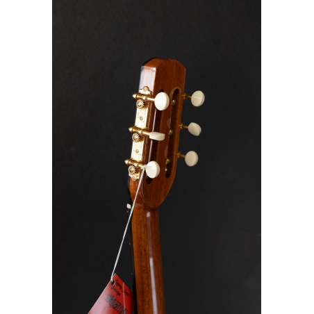 Altamira M01-F Gypsy guitar oval soundhole